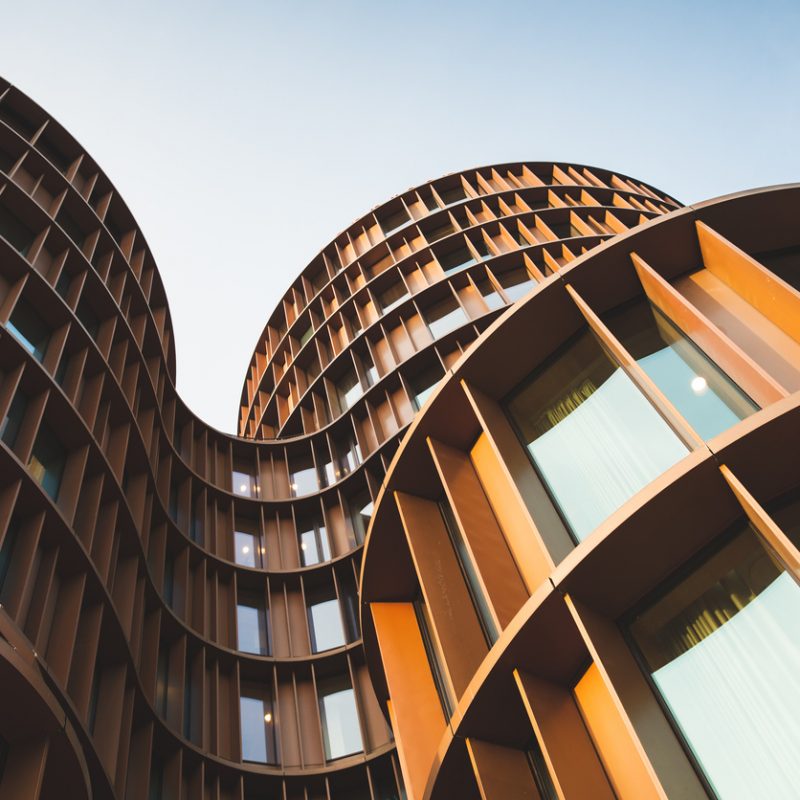 Arquitetura biomimética: natureza conectada à construção